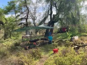 Matt ForestSchoolSetup