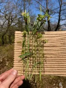 Matt WildWeavingExample