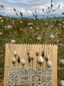 Matt WildWeavingWithPlant