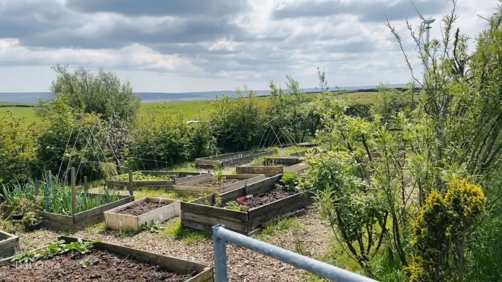 Allotment news……